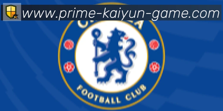 开云体育合作伙伴