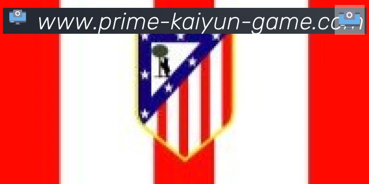 开云体育合作伙伴